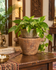 Vintage Old Wooden Candle Holder & Planter